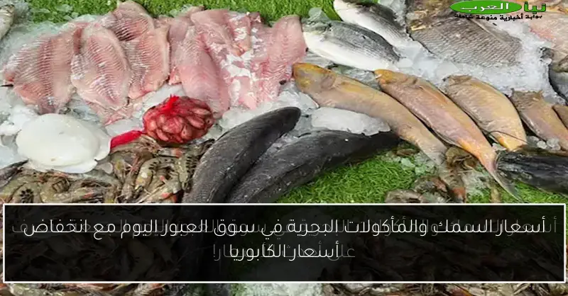 أسعار السمك والمأكولات البحرية في سوق العبور اليوم مع انخفاض أسعار الكابوريا