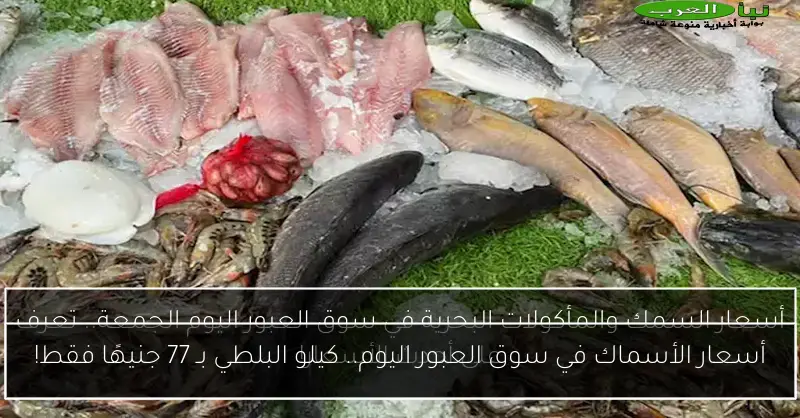 أسعار الأسماك في سوق العبور اليوم.. كيلو البلطي بـ 77 جنيهًا فقط!