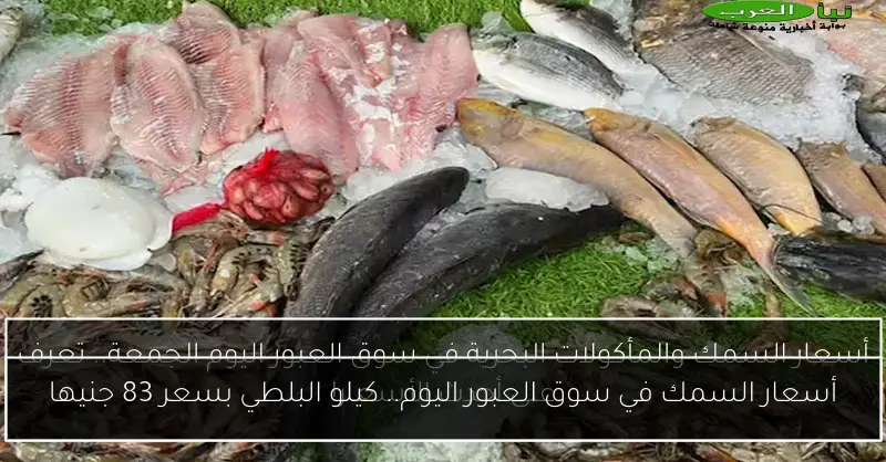 أسعار السمك في سوق العبور اليوم.. كيلو البلطي بسعر 83 جنيها