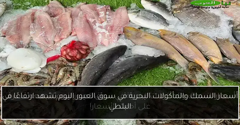 أسعار السمك والمأكولات البحرية في سوق العبور اليوم تشهد ارتفاعًا في البلطي