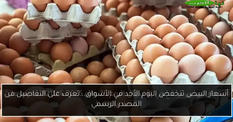 أسعار البيض تنخفض اليوم الأحد في الأسواق.. تعرف على التفاصيل من المصدر الرسمي