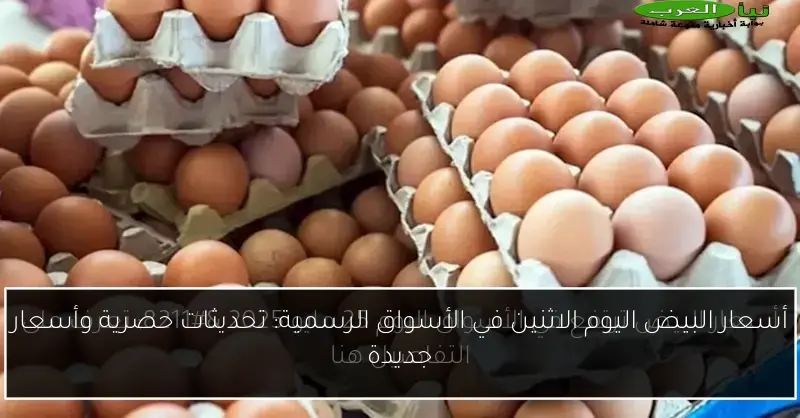 أسعار البيض اليوم الاثنين في الأسواق الرسمية: تحديثات حصرية وأسعار جديدة