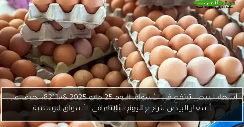 أسعار البيض تتراجع اليوم الثلاثاء في الأسواق الرسمية