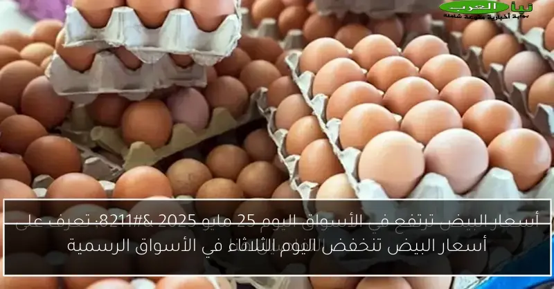 أسعار البيض تنخفض اليوم الثلاثاء في الأسواق الرسمية