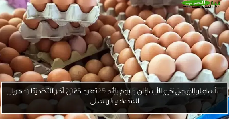 أسعار البيض في الأسواق اليوم الأحد.. تعرف على آخر التحديثات من المصدر الرسمي