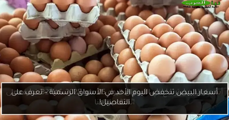 أسعار البيض تنخفض اليوم الأحد في الأسواق الرسمية – تعرف على التفاصيل!