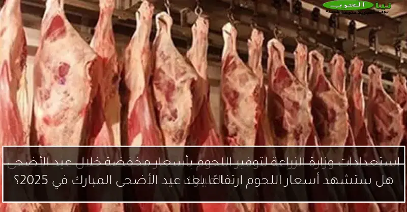 هل ستشهد أسعار اللحوم ارتفاعًا بعد عيد الأضحى المبارك في 2025؟