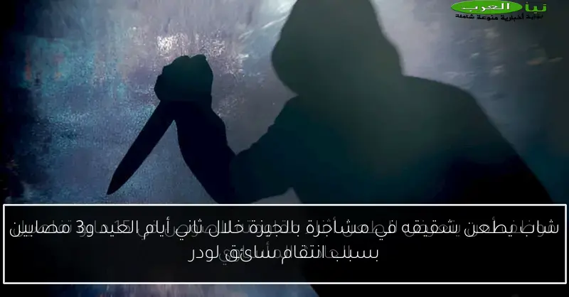 شاب يطعن شقيقه في مشاجرة بالجيزة خلال ثاني أيام العيد و3 مصابين بسبب انتقام سائق لودر