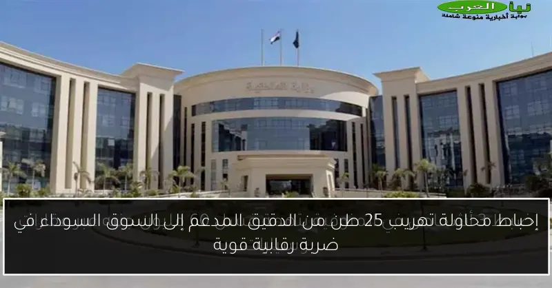 إحباط محاولة تهريب 25 طن من الدقيق المدعم إلى السوق السوداء في ضربة رقابية قوية