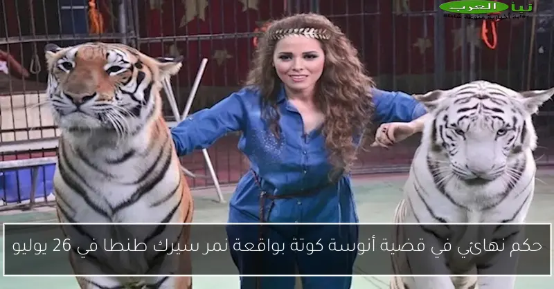 حكم نهائي في قضية أنوسة كوتة بواقعة نمر سيرك طنطا في 26 يوليو