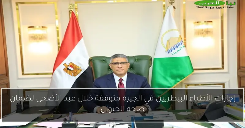 إجازات الأطباء البيطريين في الجيزة متوقفة خلال عيد الأضحى لضمان صحة الحيوان