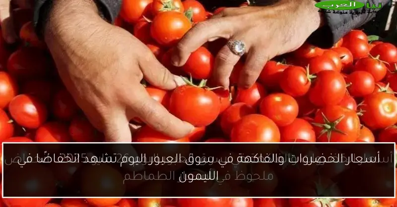 أسعار الخضروات والفاكهة في سوق العبور اليوم تشهد انخفاضًا في الليمون
