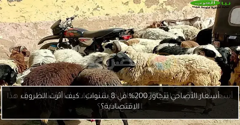 أسعار الأضاحي تتجاوز 200% في 8 سنوات.. كيف أثرت الظروف الاقتصادية؟