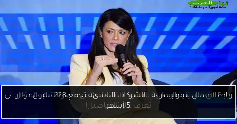 ريادة الأعمال تنمو بسرعة.. الشركات الناشئة تجمع 228 مليون دولار في 5 أشهر