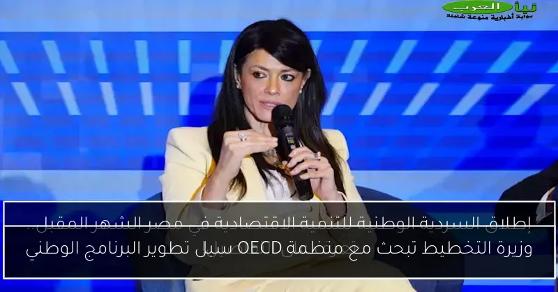وزيرة التخطيط تبحث مع منظمة OECD سبل تطوير البرنامج الوطني