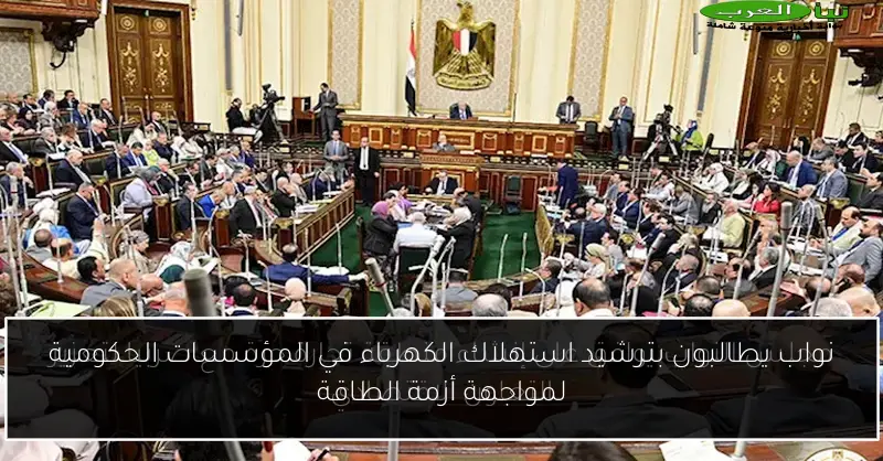 نواب يطالبون بترشيد استهلاك الكهرباء في المؤسسات الحكومية لمواجهة أزمة الطاقة