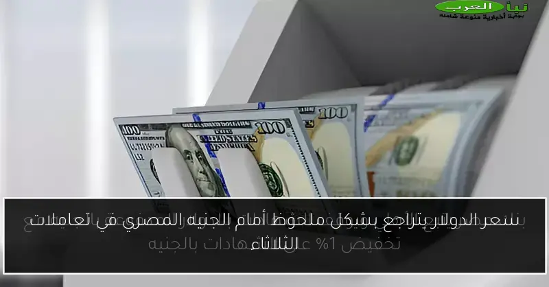 سعر الدولار يتراجع بشكل ملحوظ أمام الجنيه المصري في تعاملات الثلاثاء