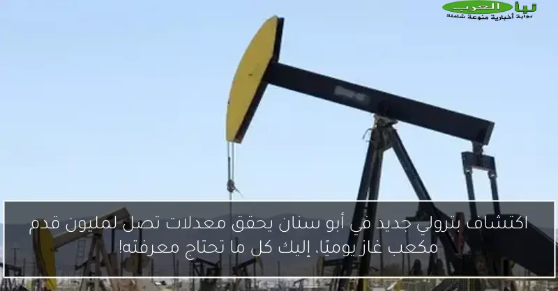 اكتشاف بترولي جديد في أبو سنان يحقق معدلات تصل لمليون قدم مكعب غاز يوميًا، إليك كل ما تحتاج معرفته!