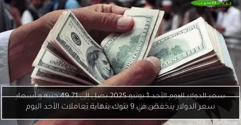 سعر الدولار ينخفض في 9 بنوك بنهاية تعاملات الأحد اليوم