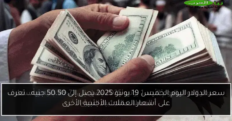 سعر الدولار اليوم الخميس 19 يونيو 2025 يصل إلى 50.50 جنيه.. تعرف على أسعار العملات الأجنبية الأخرى