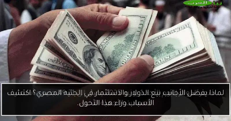 لماذا يفضل الأجانب بيع الدولار والاستثمار في الجنيه المصري؟ اكتشف الأسباب وراء هذا التحول.