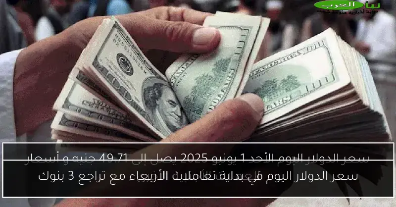سعر الدولار اليوم في بداية تعاملات الأربعاء مع تراجع 3 بنوك