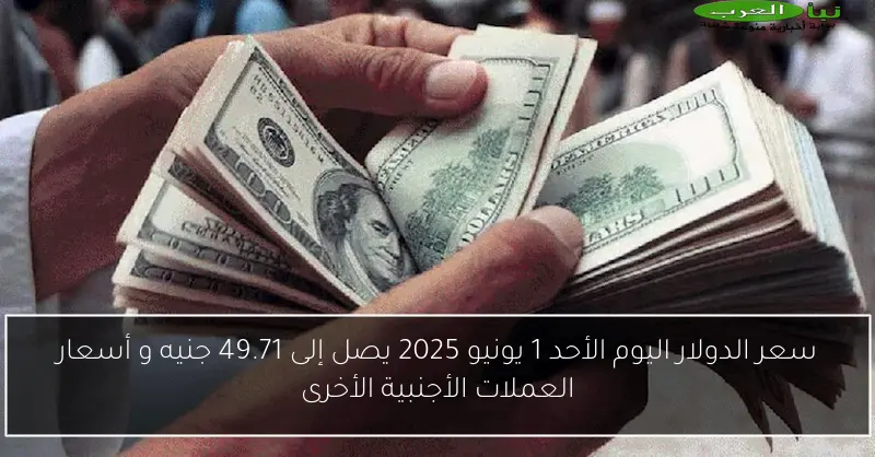 سعر الدولار اليوم الأحد 1 يونيو 2025 يصل إلى 49.71 جنيه و أسعار العملات الأجنبية الأخرى