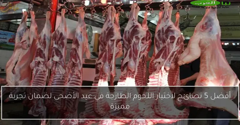 أفضل 5 نصائح لاختيار اللحوم الطازجة في عيد الأضحى لضمان تجربة مميزة