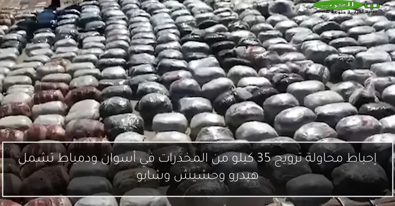 إحباط محاولة ترويج 35 كيلو من المخدرات في أسوان ودمياط تشمل هيدرو وحشيش وشابو