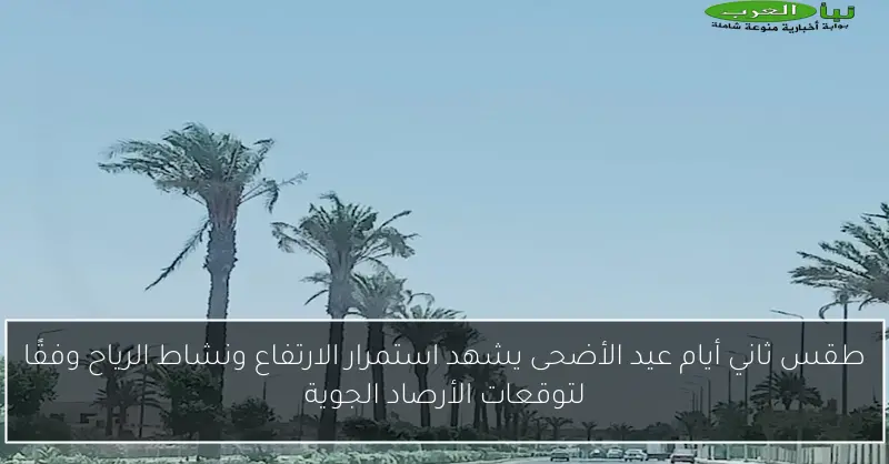 طقس ثاني أيام عيد الأضحى يشهد استمرار الارتفاع ونشاط الرياح وفقًا لتوقعات الأرصاد الجوية