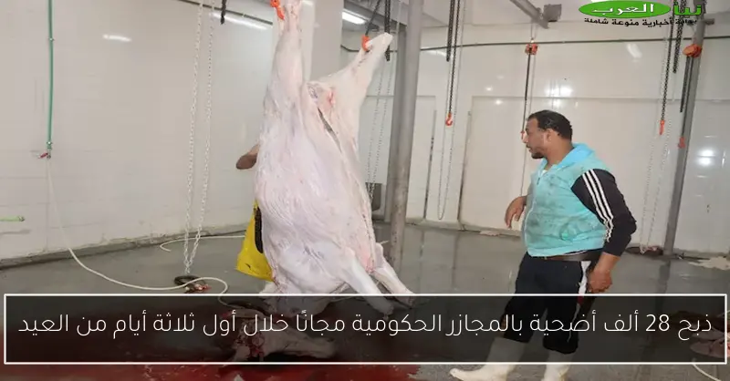 ذبح 28 ألف أضحية بالمجازر الحكومية مجانًا خلال أول ثلاثة أيام من العيد