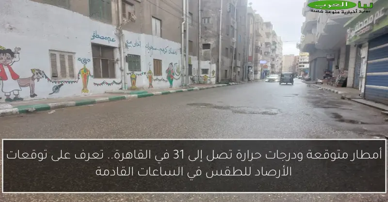 أمطار متوقعة ودرجات حرارة تصل إلى 31 في القاهرة.. تعرف على توقعات الأرصاد للطقس في الساعات القادمة