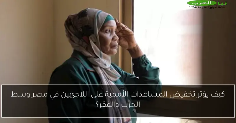 كيف يؤثر تخفيض المساعدات الأممية على اللاجئين في مصر وسط الحرب والفقر؟