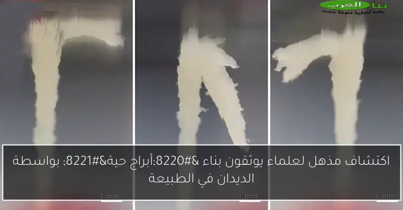 اكتشاف مذهل لعلماء يوثقون بناء “أبراج حية” بواسطة الديدان في الطبيعة