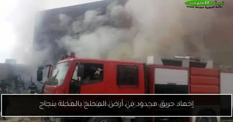 إخماد حريق محدود في أرض المحلج بالمحلة بنجاح