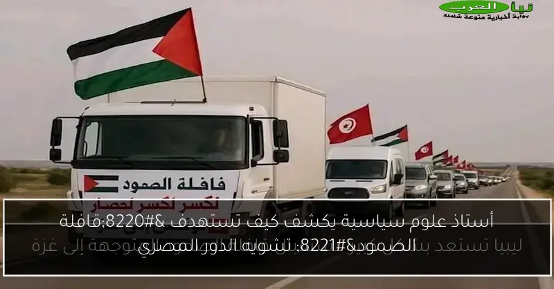 أستاذ علوم سياسية يكشف كيف تستهدف “قافلة الصمود” تشويه الدور المصري