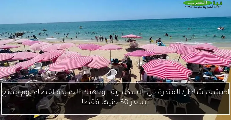 اكتشف شاطئ المندرة في الإسكندرية.. وجهتك الجديدة لقضاء يوم ممتع بسعر 30 جنيها فقط!