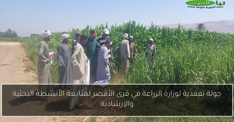 جولة تفقدية لوزارة الزراعة في قرى الأقصر لمتابعة الأنشطة البحثية والإرشادية