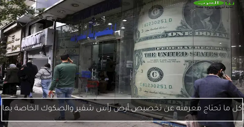 كل ما تحتاج معرفته عن تخصيص أرض رأس شقير والصكوك الخاصة بها
