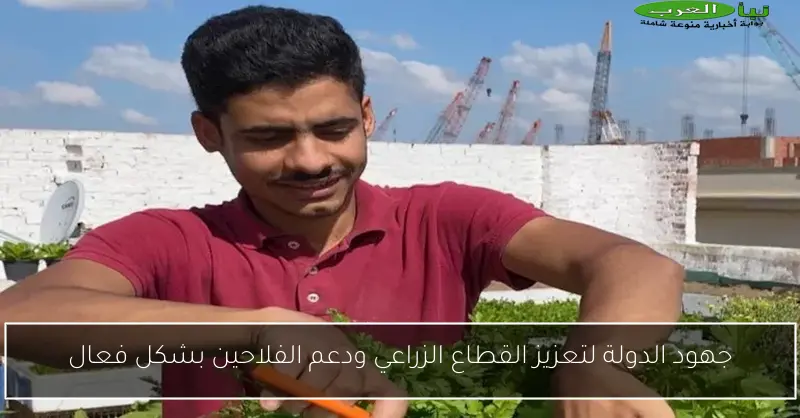 جهود الدولة لتعزيز القطاع الزراعي ودعم الفلاحين بشكل فعال