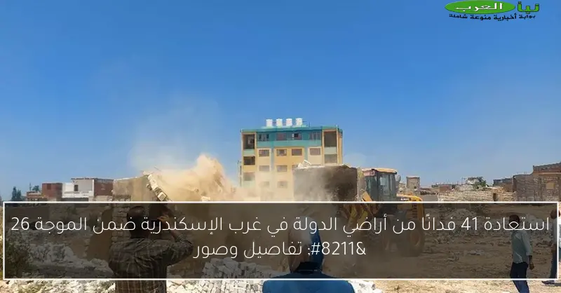 استعادة 41 فدانًا من أراضي الدولة في غرب الإسكندرية ضمن الموجة 26 – تفاصيل وصور