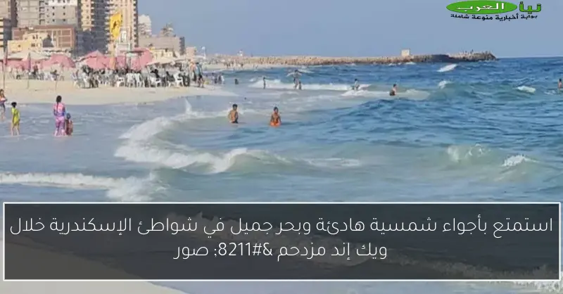 استمتع بأجواء شمسية هادئة وبحر جميل في شواطئ الإسكندرية خلال ويك إند مزدحم – صور