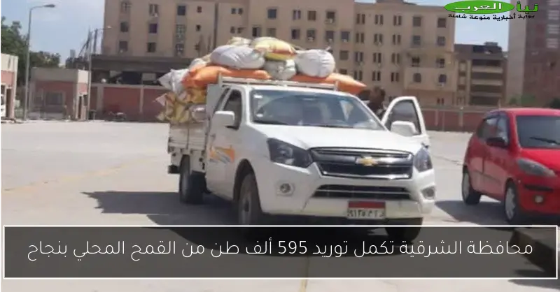 محافظة الشرقية تكمل توريد 595 ألف طن من القمح المحلي بنجاح