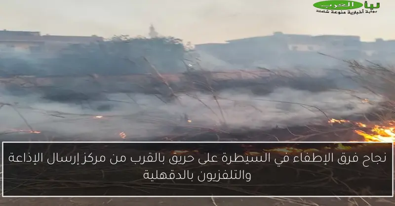 نجاح فرق الإطفاء في السيطرة على حريق بالقرب من مركز إرسال الإذاعة والتلفزيون بالدقهلية