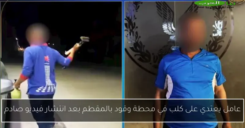 عامل يعتدي على كلب في محطة وقود بالمقطم بعد انتشار فيديو صادم