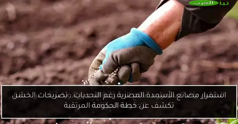 استمرار مصانع الأسمدة المصرية رغم التحديات.. تصريحات الخشن تكشف عن خطة الحكومة المرتقبة