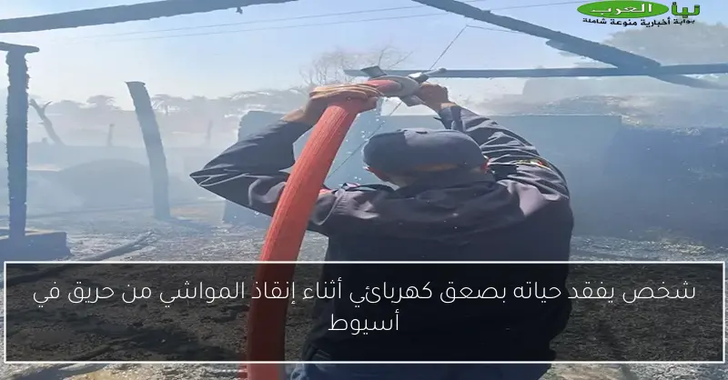 شخص يفقد حياته بصعق كهربائي أثناء إنقاذ المواشي من حريق في أسيوط