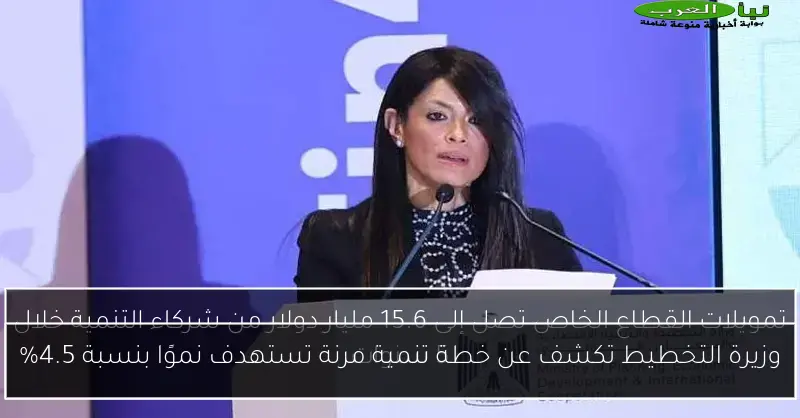 وزيرة التخطيط تكشف عن خطة تنمية مرنة تستهدف نموًا بنسبة 4.5%