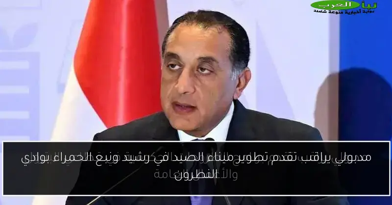 مدبولي يراقب تقدم تطوير ميناء الصيد في رشيد ونبع الحمراء بوادي النطرون