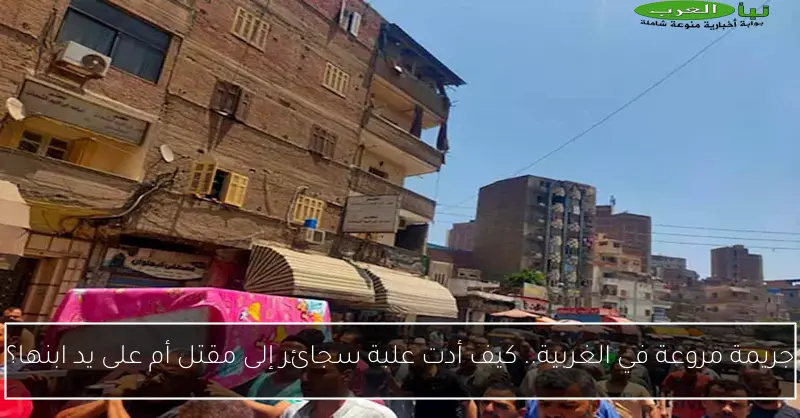 جريمة مروعة في الغربية.. كيف أدت علبة سجائر إلى مقتل أم على يد ابنها؟